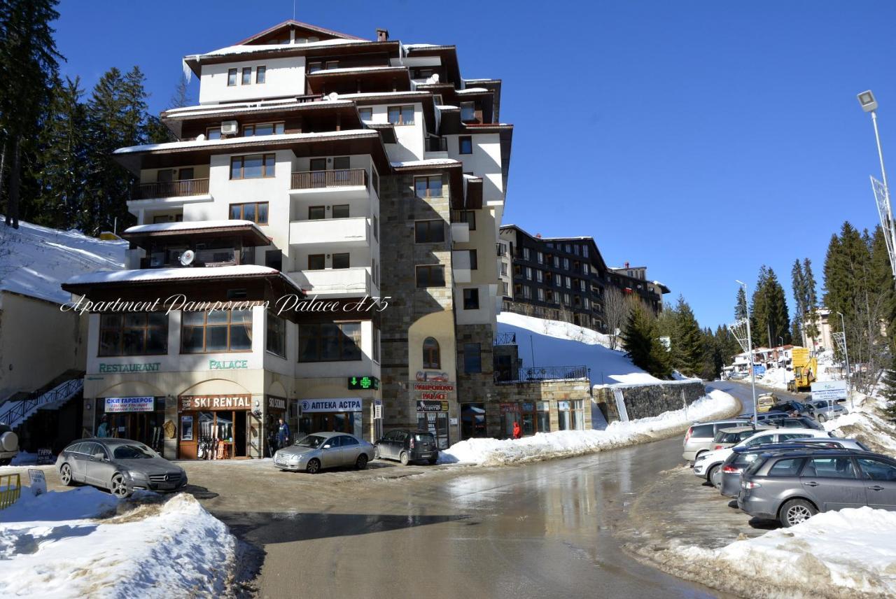 Apartment Pamporovo Palaсe A75 Dış mekan fotoğraf