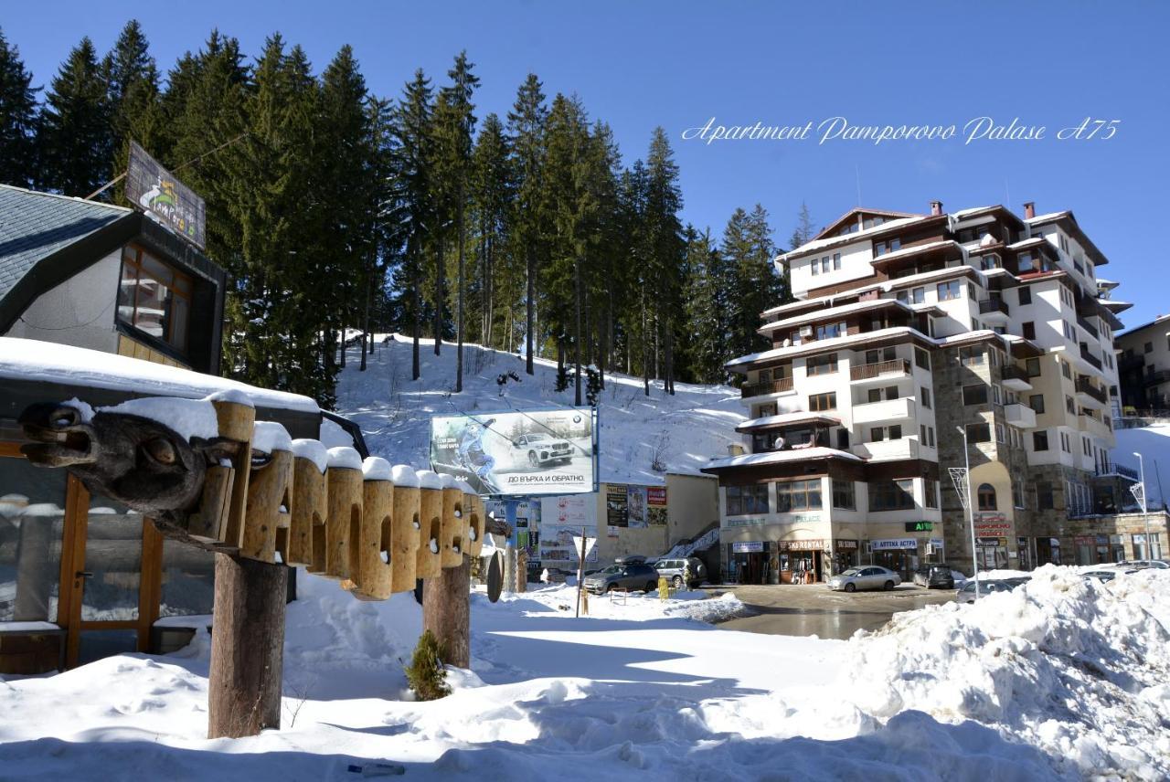 Apartment Pamporovo Palaсe A75 Dış mekan fotoğraf